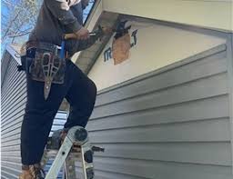 Best Siding Painting and Refinishing  in Orangevale, CA